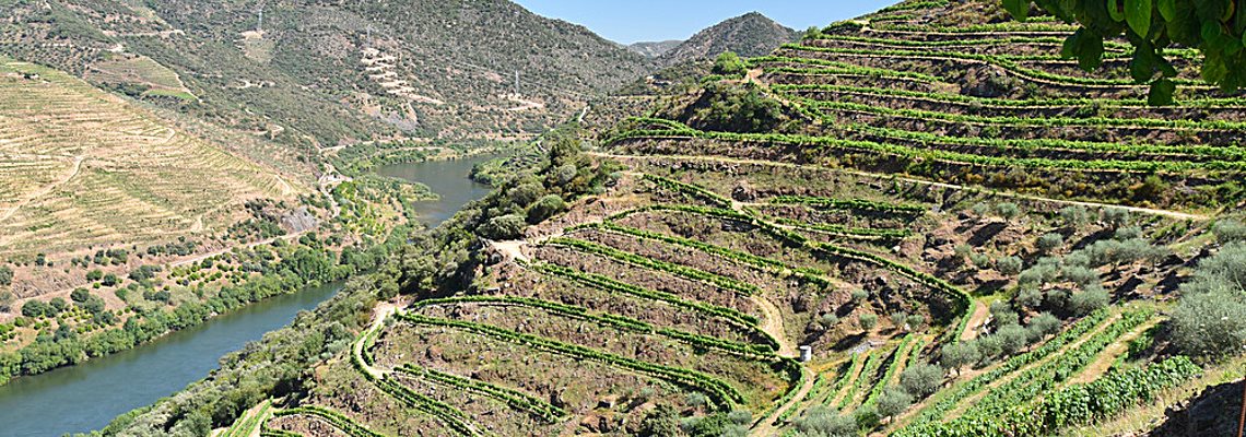 Portugal Wine Tour