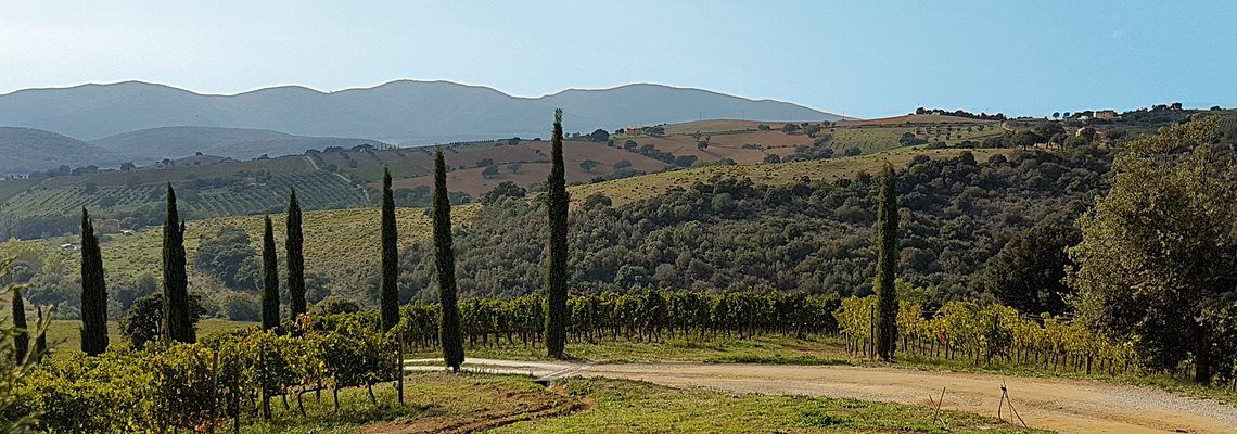 Weinreise Toscana 2020
