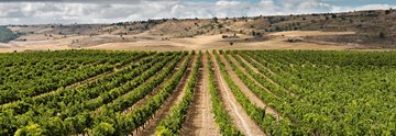 Weinreise Ribera del Duero & Rioja 2020