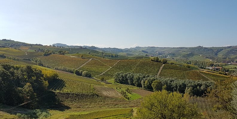 Weinreise Piemont inkl. Trüffelmarkt in Alba 2019