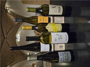 Degustations Paket  Weisswein l