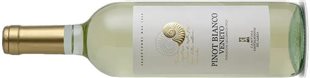 Pinot Bianco IGT Veneto Terre di Castelnuovo