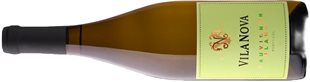 Sauvignon Blanc VR Minho Villa Nova